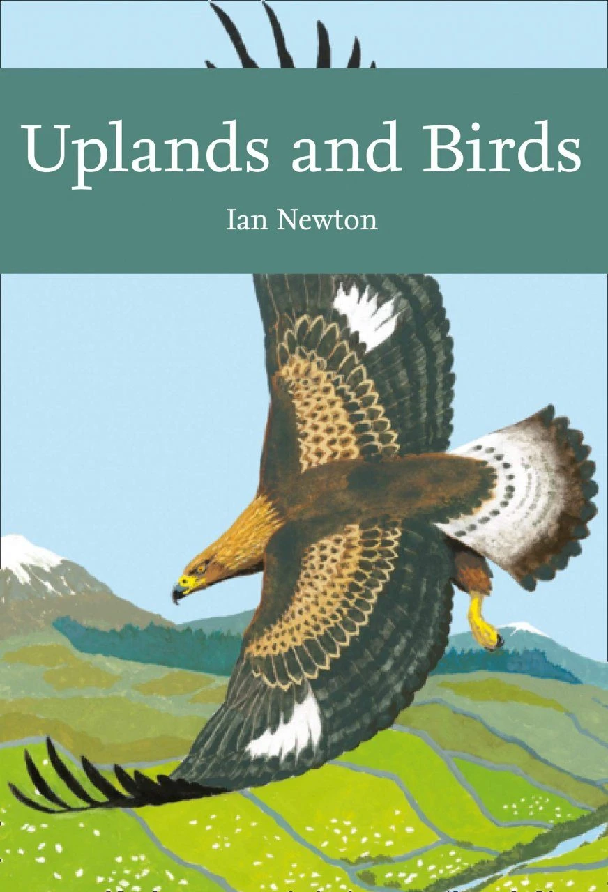 Uplands And Birds 3 Uplands And Birds