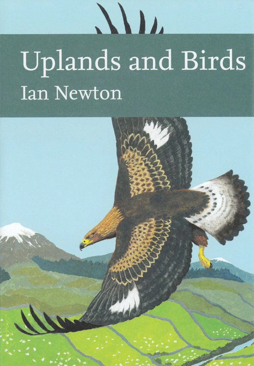 Uplands And Birds 4 Uplands And Birds - Image 2