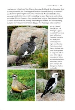 Uplands And Birds 10 Uplands And Birds -Wildlife Professional Books 247690 1