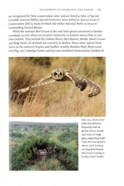 Uplands And Birds 11 Uplands And Birds -Wildlife Professional Books 247690 2