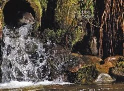 La Loutre D'Europe [The European Otter] -Wildlife Professional Books 247721 2