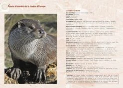 La Loutre D'Europe [The European Otter] -Wildlife Professional Books 247721 3