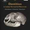 Dentition In Indian Terrestrial Mammals 1 Dentition In Indian Terrestrial Mammals -Wildlife Professional Books 247836