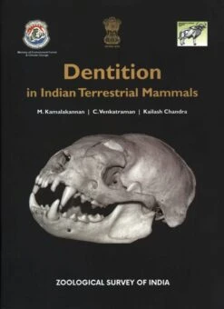Dentition In Indian Terrestrial Mammals