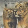 Asiatic Lion 1 Asiatic Lion -Wildlife Professional Books 248250