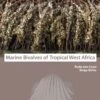 Marine Bivalves Of Tropical West Africa 1 Marine Bivalves Of Tropical West Africa -Wildlife Professional Books 248768