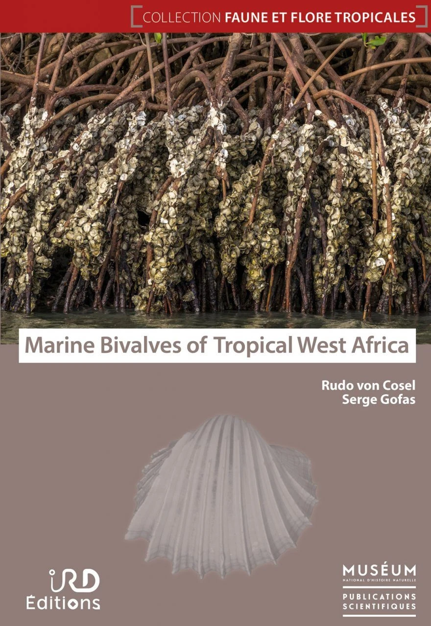 Marine Bivalves Of Tropical West Africa 3 Marine Bivalves Of Tropical West Africa