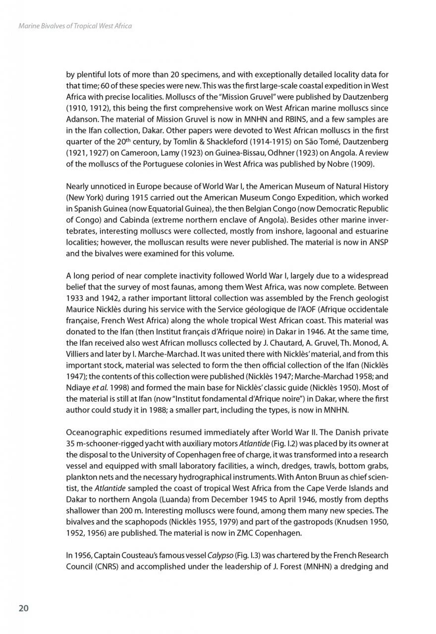 Marine Bivalves Of Tropical West Africa 4 Marine Bivalves Of Tropical West Africa - Image 2