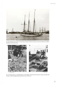 Marine Bivalves Of Tropical West Africa 23 Marine Bivalves Of Tropical West Africa -Wildlife Professional Books 248768 02