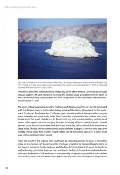Marine Bivalves Of Tropical West Africa 24 Marine Bivalves Of Tropical West Africa -Wildlife Professional Books 248768 03