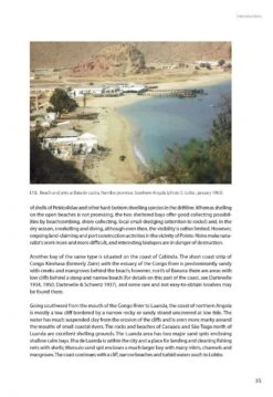 Marine Bivalves Of Tropical West Africa 25 Marine Bivalves Of Tropical West Africa -Wildlife Professional Books 248768 04