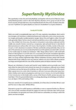 Marine Bivalves Of Tropical West Africa 33 Marine Bivalves Of Tropical West Africa -Wildlife Professional Books 248768 12