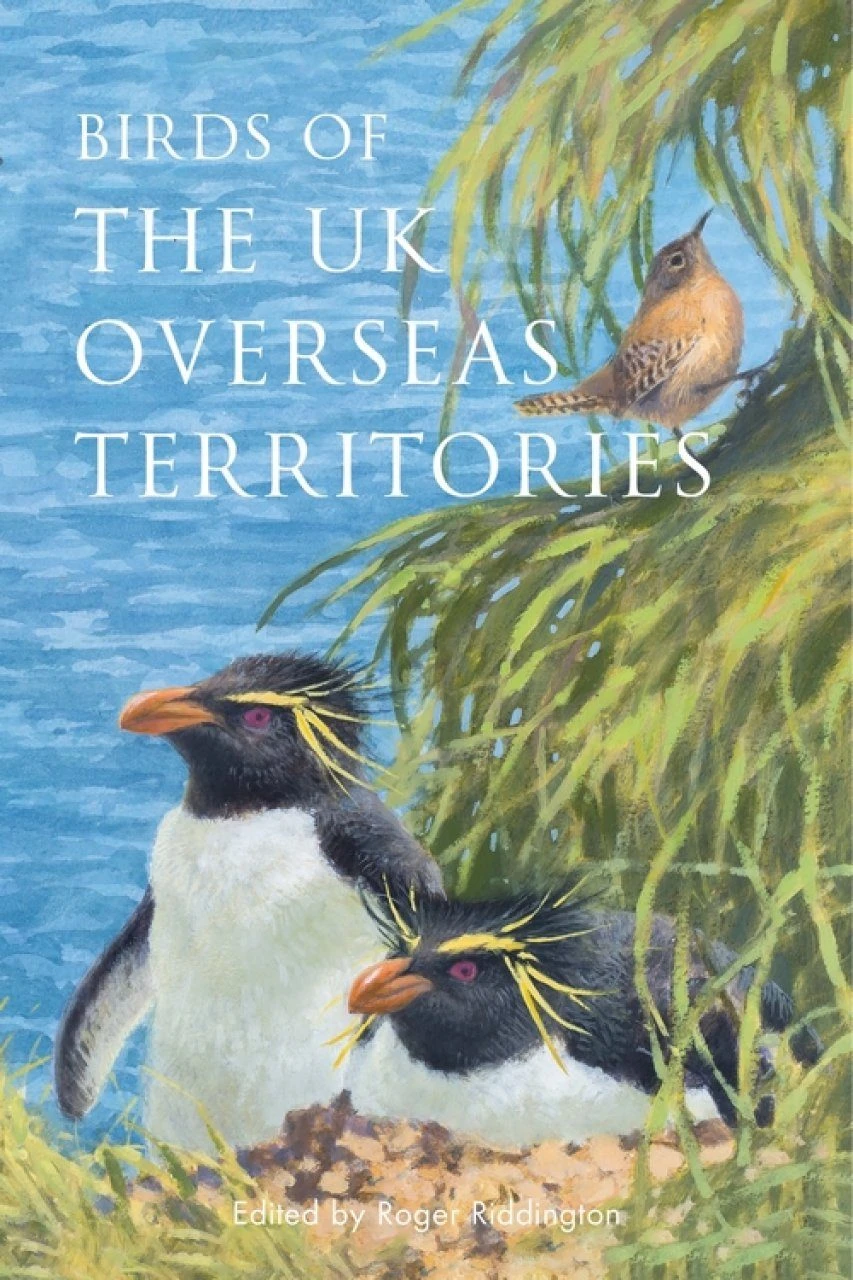 Birds Of The UK Overseas Territories 3 Birds Of The UK Overseas Territories