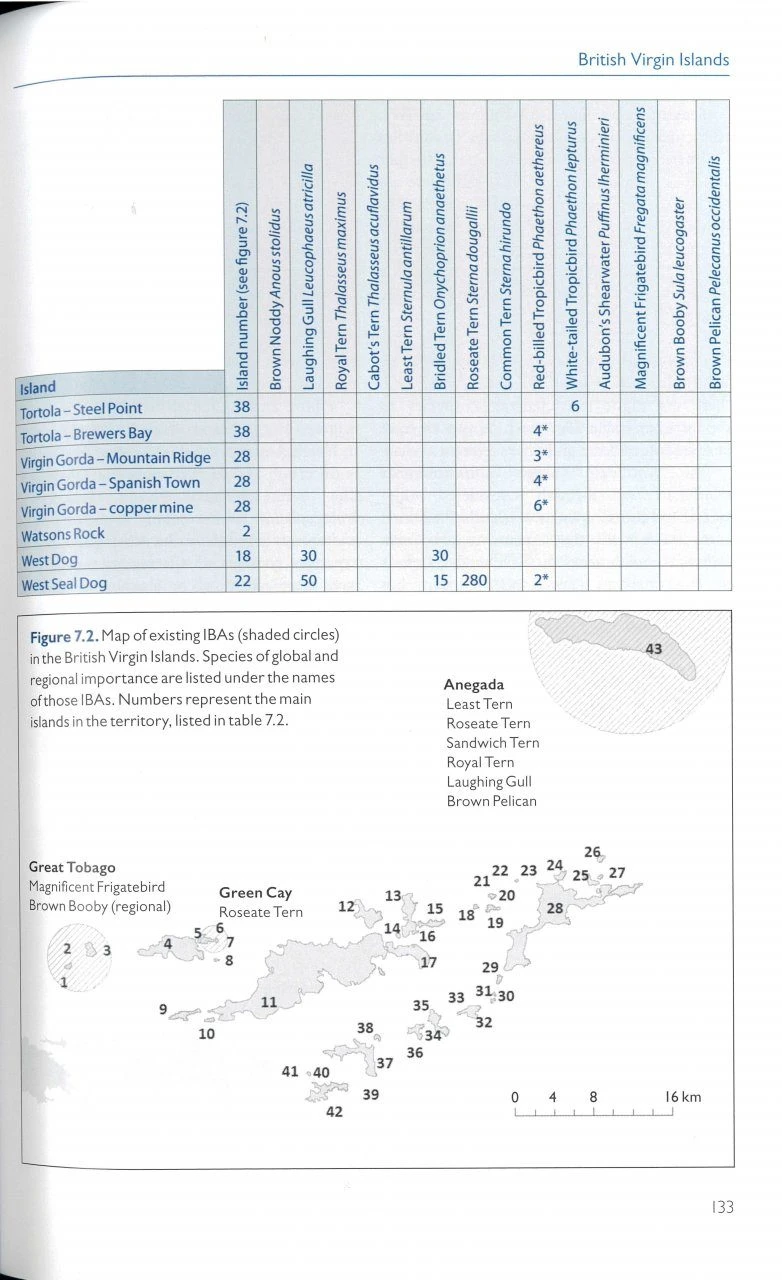 Birds Of The UK Overseas Territories 5 Birds Of The UK Overseas Territories - Image 3