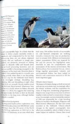 Birds Of The UK Overseas Territories 11 Birds Of The UK Overseas Territories -Wildlife Professional Books 248869 3