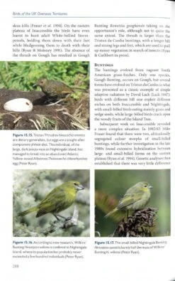Birds Of The UK Overseas Territories 12 Birds Of The UK Overseas Territories -Wildlife Professional Books 248869 4