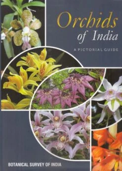 Orchids Of India