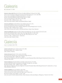 Orchids Of India -Wildlife Professional Books 249013 3