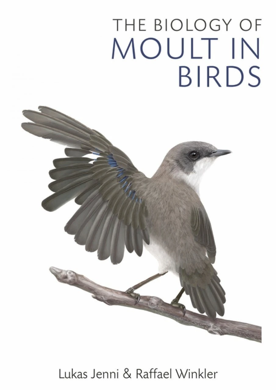 The Biology Of Moult In Birds 3 The Biology Of Moult In Birds