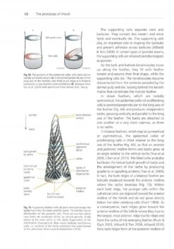 The Biology Of Moult In Birds 13 The Biology Of Moult In Birds -Wildlife Professional Books 249029 3