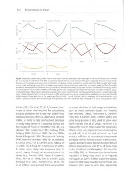 The Biology Of Moult In Birds 14 The Biology Of Moult In Birds -Wildlife Professional Books 249029 4