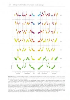 The Biology Of Moult In Birds 17 The Biology Of Moult In Birds -Wildlife Professional Books 249029 7
