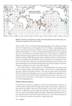 Frogfishes -Wildlife Professional Books 249225 5