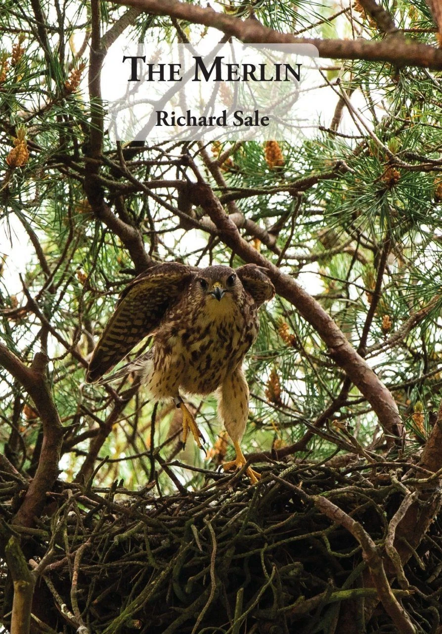 The Merlin 3 The Merlin