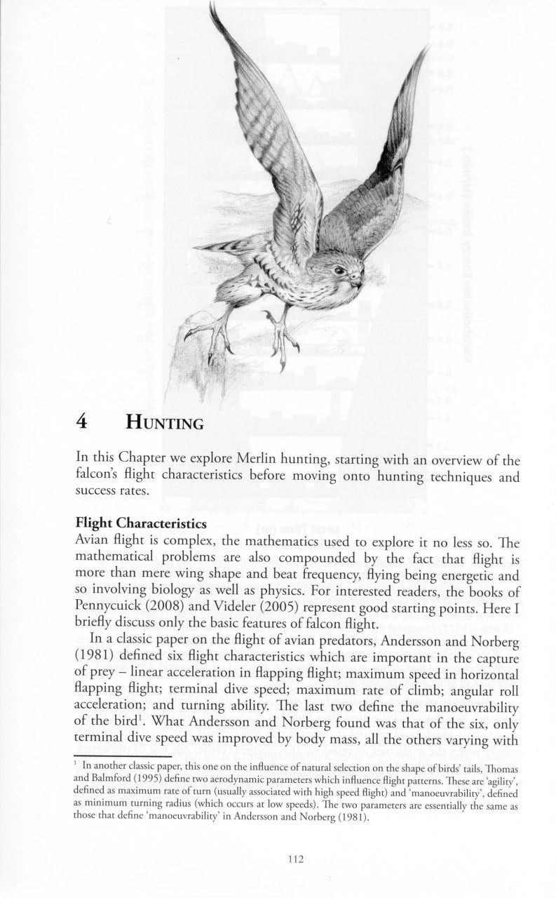The Merlin 4 The Merlin - Image 2