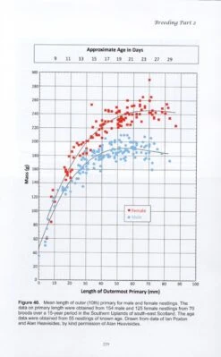 The Merlin 13 The Merlin -Wildlife Professional Books 249553 3