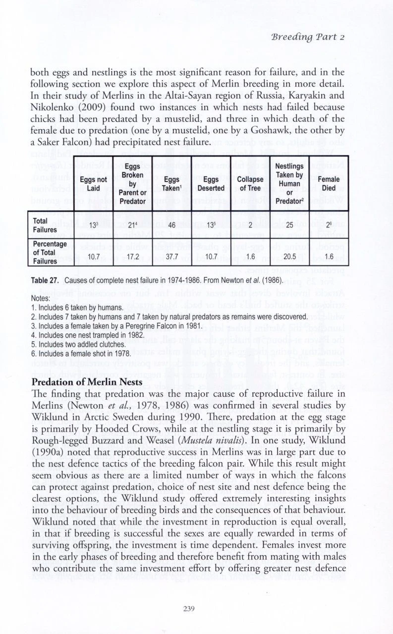 The Merlin 7 The Merlin - Image 5