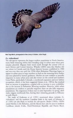 The Merlin 15 The Merlin -Wildlife Professional Books 249553 5