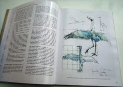 Bird Anatomy For Artists 17 Bird Anatomy For Artists -Wildlife Professional Books 249582 02