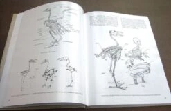 Bird Anatomy For Artists 18 Bird Anatomy For Artists -Wildlife Professional Books 249582 03