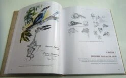 Bird Anatomy For Artists 19 Bird Anatomy For Artists -Wildlife Professional Books 249582 04