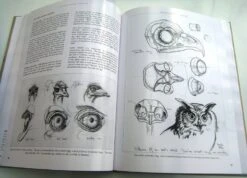 Bird Anatomy For Artists 21 Bird Anatomy For Artists -Wildlife Professional Books 249582 06
