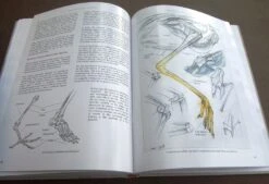 Bird Anatomy For Artists 24 Bird Anatomy For Artists -Wildlife Professional Books 249582 09