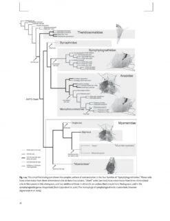 Spider Webs -Wildlife Professional Books 249601 2
