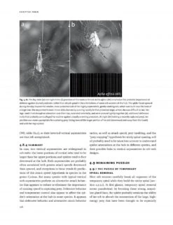 Spider Webs -Wildlife Professional Books 249601 5