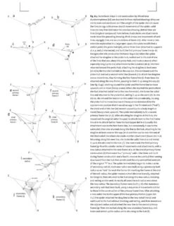 Spider Webs -Wildlife Professional Books 249601 6