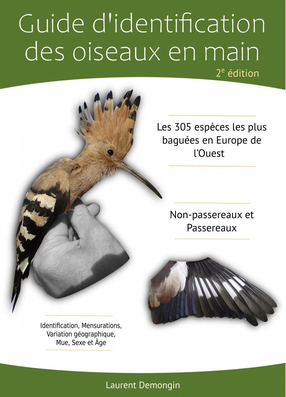 Guide D'Identification Des Oiseaux En Main: Les 305 Espèces Les Plus Baguées En Europe De L'Ouest, Non-Passereaux Et Passereaux 3 Guide D'Identification Des Oiseaux En Main: Les 305 Espèces Les Plus Baguées En Europe De L'Ouest, Non-Passereaux Et Passereaux