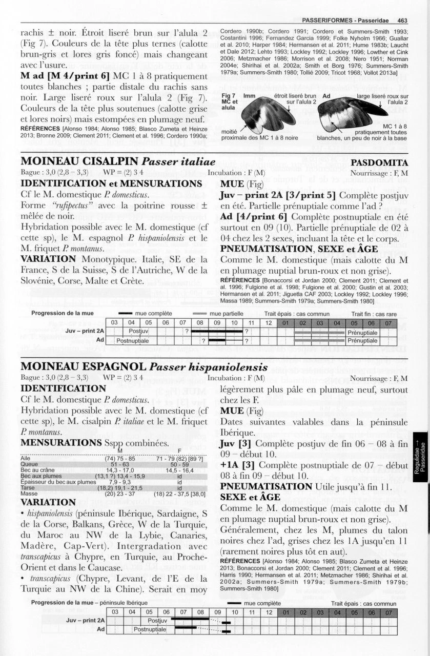Guide D'Identification Des Oiseaux En Main: Les 305 Espèces Les Plus Baguées En Europe De L'Ouest, Non-Passereaux Et Passereaux 4 Guide D'Identification Des Oiseaux En Main: Les 305 Espèces Les Plus Baguées En Europe De L'Ouest, Non-Passereaux Et Passereaux - Image 2