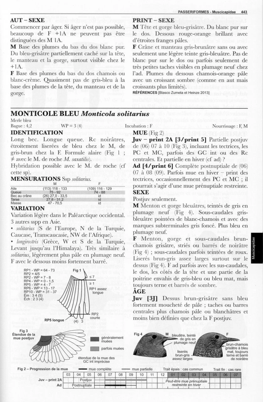 Guide D'Identification Des Oiseaux En Main: Les 305 Espèces Les Plus Baguées En Europe De L'Ouest, Non-Passereaux Et Passereaux 5 Guide D'Identification Des Oiseaux En Main: Les 305 Espèces Les Plus Baguées En Europe De L'Ouest, Non-Passereaux Et Passereaux - Image 3
