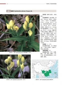 Atlas Of Native Orchids In China (2-Volume Set) [Chinese] -Wildlife Professional Books 249761 3