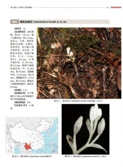Atlas Of Native Orchids In China (2-Volume Set) [Chinese] -Wildlife Professional Books 249761 4