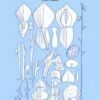 The Genus Utricularia -Wildlife Professional Books 25004