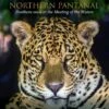 Jaguars Of The Northern Pantanal 2 Jaguars Of The Northern Pantanal -Wildlife Professional Books 250174