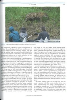 Jaguars Of The Northern Pantanal 13 Jaguars Of The Northern Pantanal -Wildlife Professional Books 250174 5