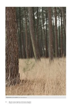 Atlas Des Oiseaux Migrateurs Et Hivernants D'Aquitaine: Dordogne, Gironde, Landes, Lot-et-Garonne, Pyrénéés-Atlantiques [Atlas Of Migratory And Wintering Birds Of Aquitaine] -Wildlife Professional Books 250288 01