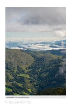 Atlas Des Oiseaux Migrateurs Et Hivernants D'Aquitaine: Dordogne, Gironde, Landes, Lot-et-Garonne, Pyrénéés-Atlantiques [Atlas Of Migratory And Wintering Birds Of Aquitaine] -Wildlife Professional Books 250288 05